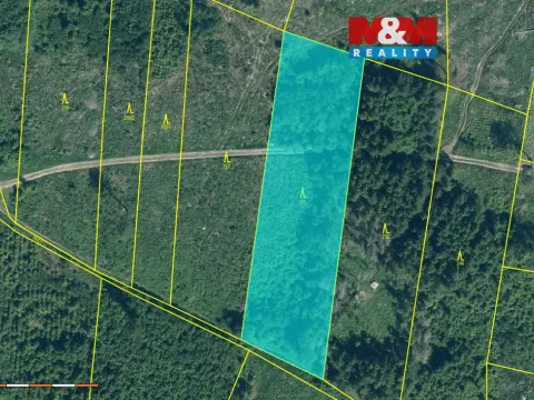 Prodej lesa, Kolinec - Buršice, 9917 m2