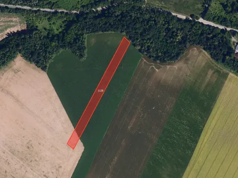 Prodej pole, Hajany, 5730 m2