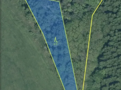 Prodej lesa, Čepřovice, 1644 m2
