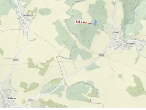 Dražba lesa, Stebno, 1462 m2