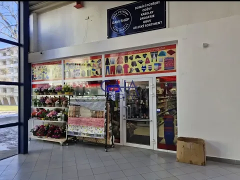 Pronájem obchodního prostoru, Prostějov, Plumlovská, 262 m2