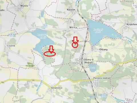 Prodej lesa, Myslív, 4556 m2