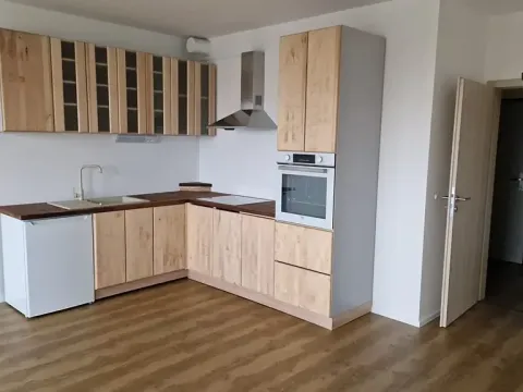 Pronájem bytu 1+kk, Olomouc, Loudova, 37 m2