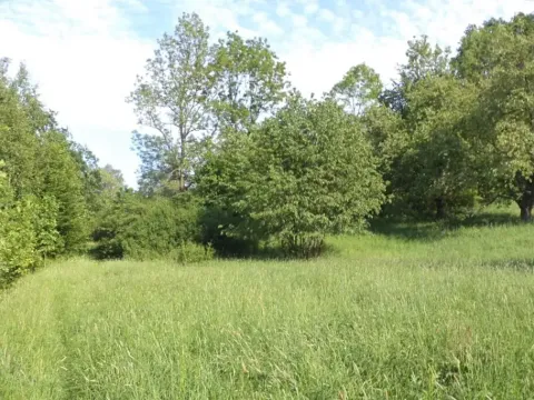 Dražba louky, Děčín, 15764 m2