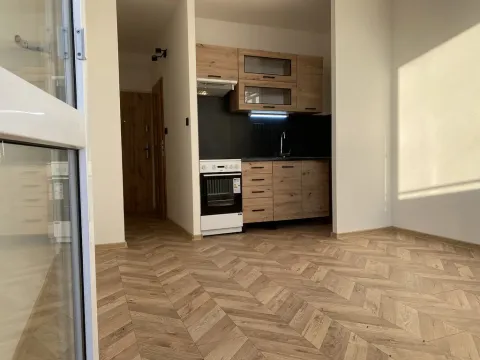 Pronájem bytu 1+kk, Most, U Věžových domů, 21 m2