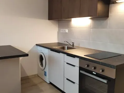 Pronájem bytu 1+kk, Plzeň, Skupova, 20 m2