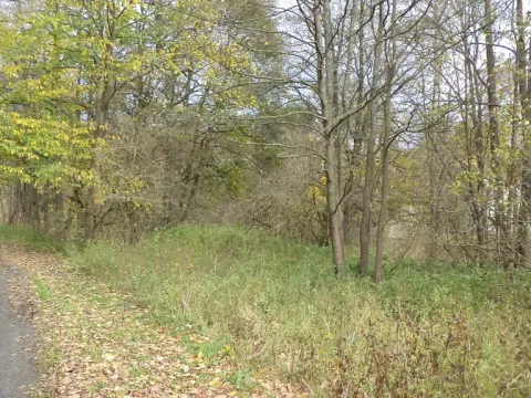 Prodej pozemku, Aš, 1691 m2