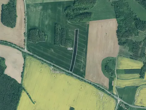 Prodej pole, Přešťovice, 39113 m2