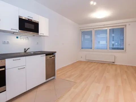 Pronájem bytu 1+kk, Praha - Zličín, Sazovická, 35 m2