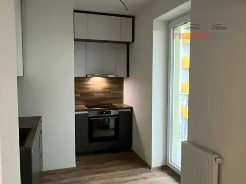 Pronájem bytu 1+kk, Brno, Křepelčí, 39 m2