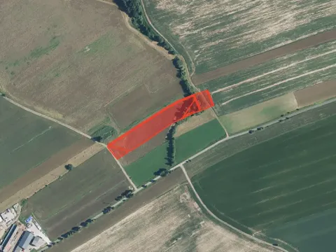 Prodej louky, Bílá Třemešná, 13769 m2