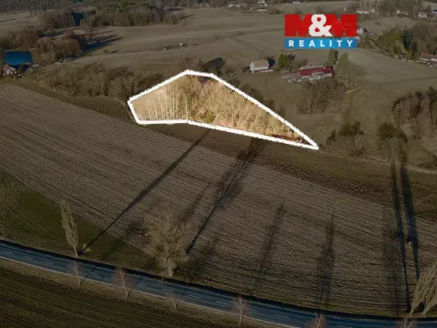 Prodej louky, Bošín, 2180 m2