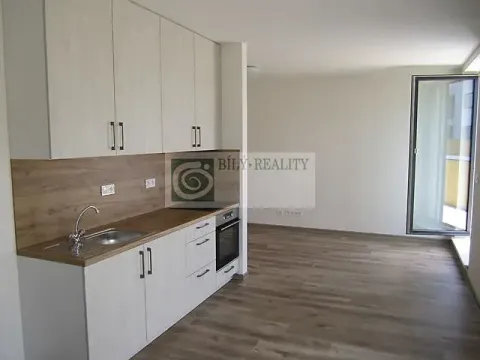 Pronájem bytu 1+kk, Brno, Wágnerova, 46 m2