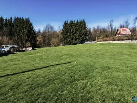 Prodej pozemku pro bydlení, Rybník, 868 m2