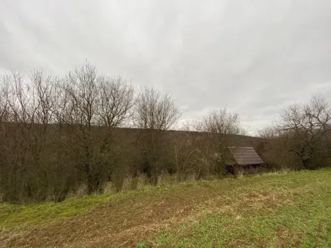 Dražba lesa, Šarovy, 11619 m2