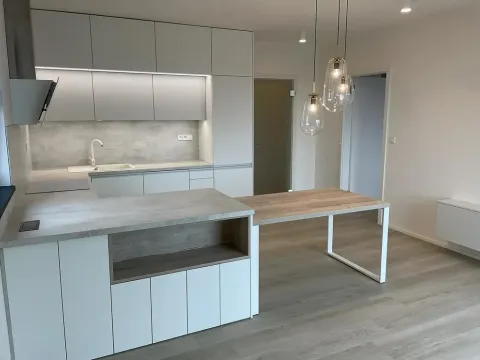 Pronájem bytu 2+kk, Hradec Králové, Kubelíkova, 54 m2