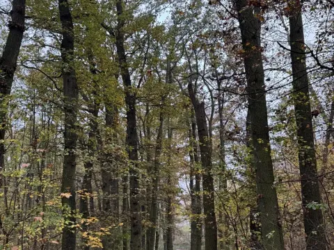 Prodej pozemku, Praha, 14747 m2