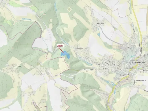 Dražba louky, Český Dub, 16722 m2