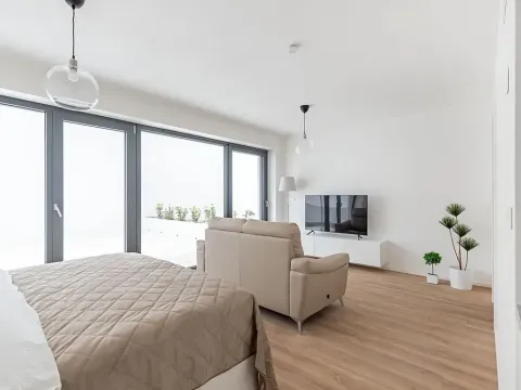 Pronájem bytu 1+kk, Brno, Lidická, 41 m2