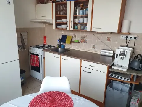 Pronájem bytu 1+1, Hradec Králové, Štefánikova, 40 m2