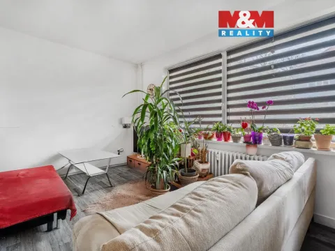 Pronájem bytu 1+1, Dolní Poustevna, Vilémovská, 31 m2