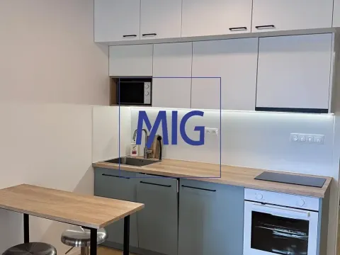 Pronájem bytu 1+kk, Brno, Bratislavská, 31 m2