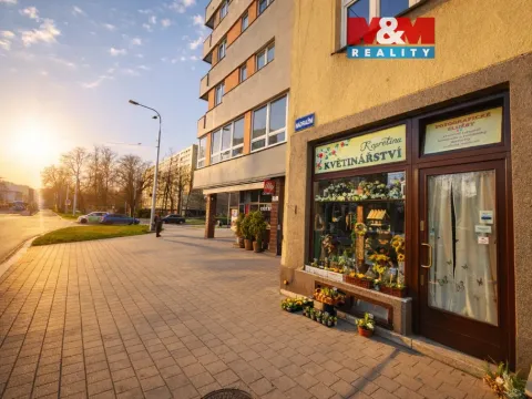 Pronájem obchodního prostoru, Ostrava - Moravská Ostrava, Nádražní, 35 m2