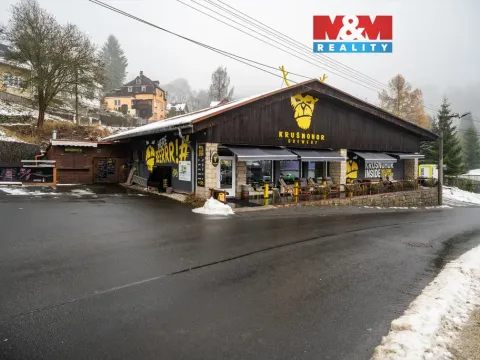 Prodej obchodního prostoru, Kraslice - Tisová, 560 m2