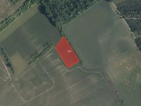 Prodej pole, Dřísy, 8020 m2