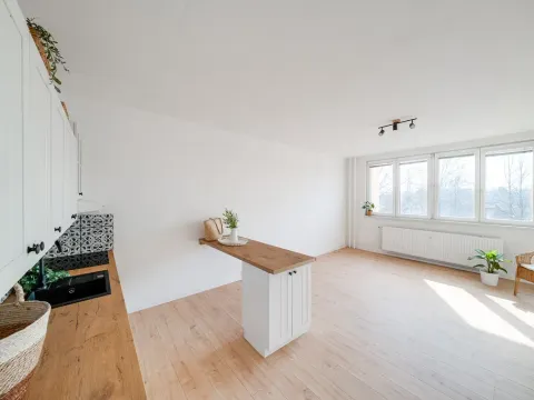 Pronájem bytu 1+kk, Český Těšín, Čáslavská, 32 m2