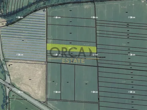 Prodej podílu pole, Hustopeče nad Bečvou, 1685 m2