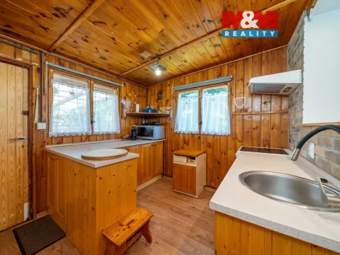 Prodej chaty, Zábřeh - Dolní Bušínov, 55 m2