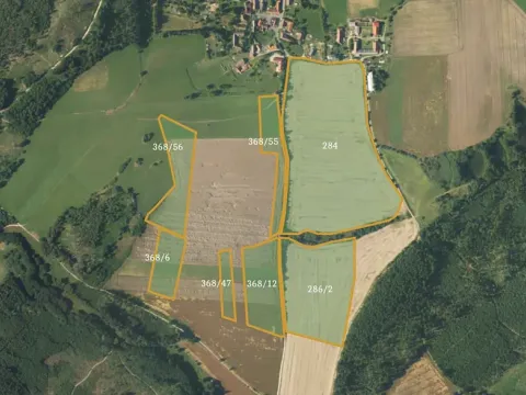 Prodej podílu pole, Borovná, 60983 m2