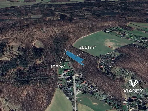 Prodej lesa, Vráž, 2989 m2