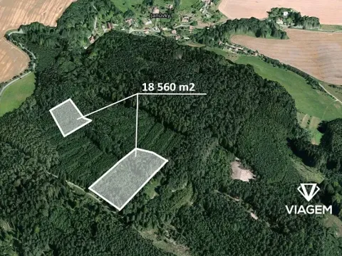 Prodej lesa, Březina, 18560 m2