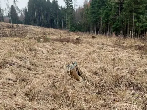 Prodej lesa, Široký Důl, 1408 m2