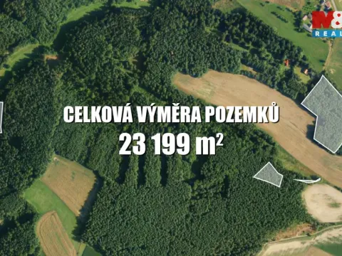 Prodej lesa, Všelibice - Přibyslavice, 23199 m2