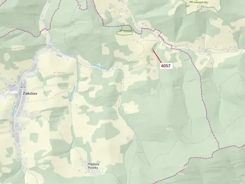 Dražba lesa, Zděchov, 435 m2