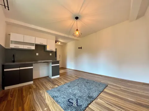 Pronájem bytu 1+kk, Česká Lípa, Žižkova, 28 m2