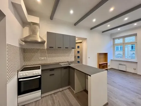 Pronájem bytu 2+1, Karlovy Vary, K. Čapka, 37 m2