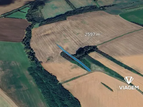 Prodej podílu pole, Březolupy, 973 m2
