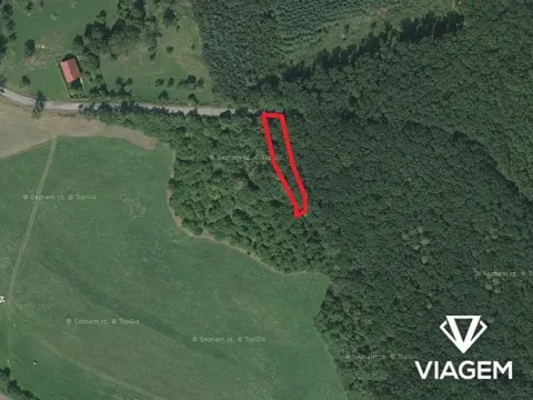 Prodej podílu lesa, Bačalky, 626 m2