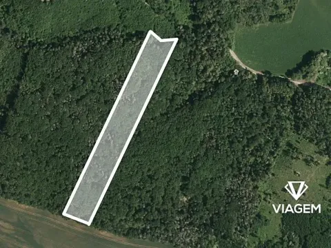 Prodej podílu lesa, Prštice, 1259 m2