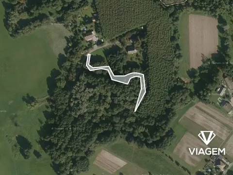 Prodej lesa, Petrovice u Karviné, 566 m2