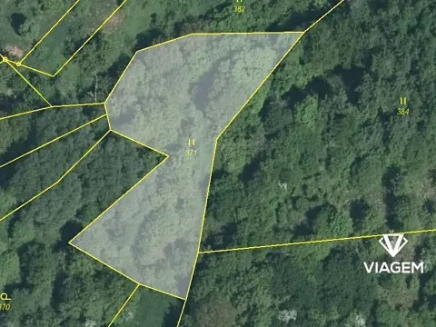 Prodej lesa, Nová Dědina, 1811 m2