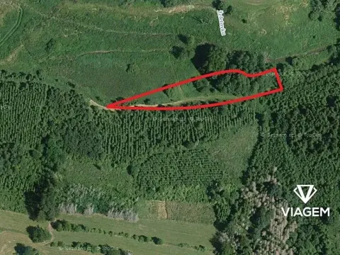 Prodej podílu lesa, Budeč, 2254 m2