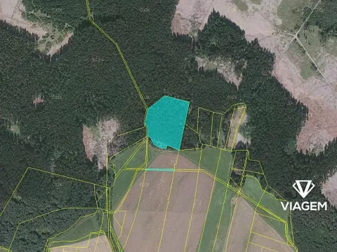 Prodej podílu lesa, Buková, 821 m2