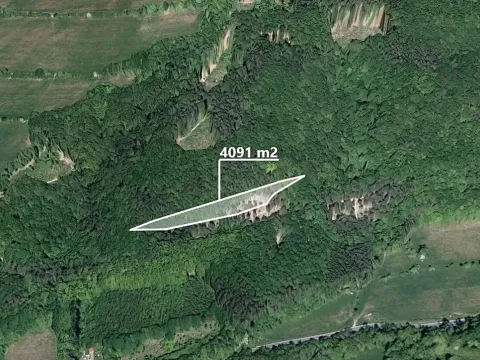 Prodej lesa, Bratřejov, 4091 m2