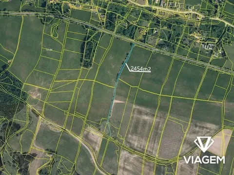 Prodej pole, Borovnice, 2939 m2