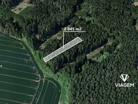 Prodej podílu lesa, Děkanovice, 948 m2